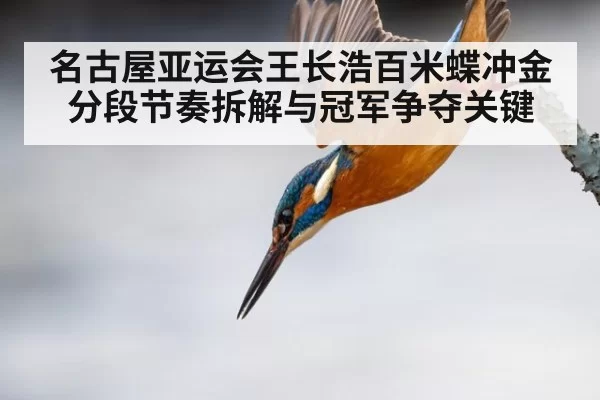 名古屋亚运会王长浩百米蝶冲金分段节奏拆解与冠军争夺关键